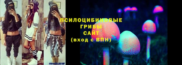 ПСИЛОЦИБИНОВЫЕ ГРИБЫ Аркадак