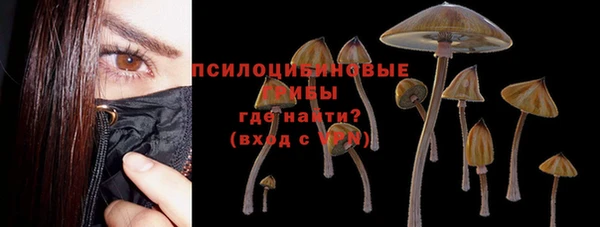 стафф Армянск
