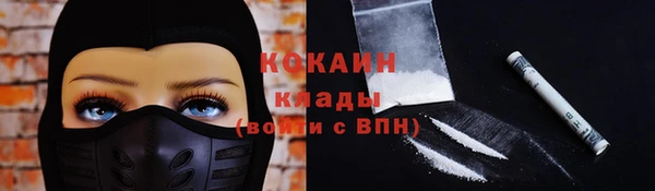 ПСИЛОЦИБИНОВЫЕ ГРИБЫ Аркадак