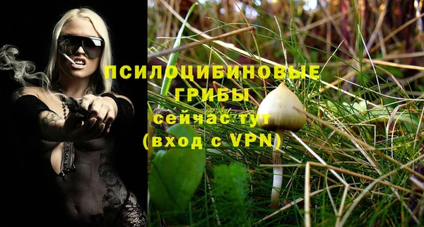 ПСИЛОЦИБИНОВЫЕ ГРИБЫ Аркадак